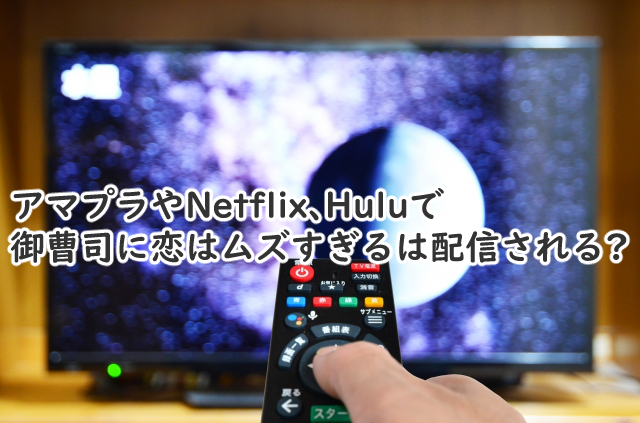 御曹司に恋はムズすぎるはアマプラでやる?NetflixやHuluだと?