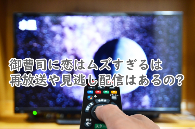 御曹司に恋はムズすぎるの再放送はある?見逃し配信は?