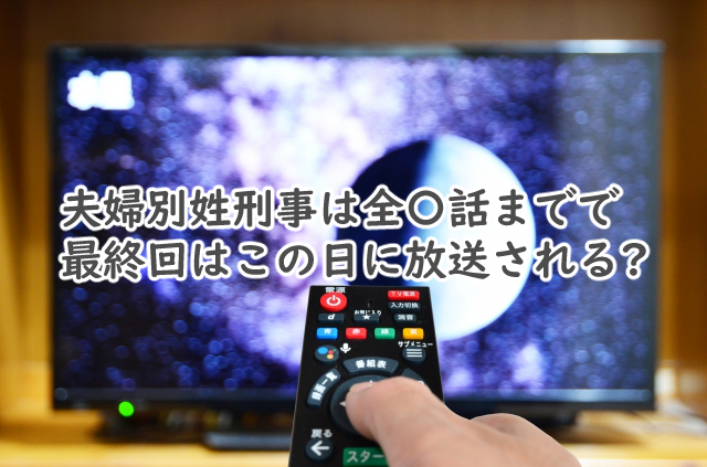 夫婦別姓刑事は全何話まで?最終回っていつ放送なの?